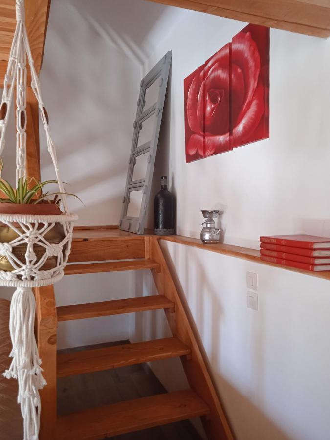 Charmante Petite Maison Μπερζεράκ Εξωτερικό φωτογραφία